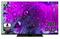 Toshiba 55XA9D63DG (55"), LED-televisio – kuva 1