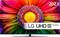 LG 75UR81006 (75"), LED-televisio – kuva 1