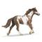 Schleich, pinto-ori – kuva 6