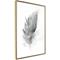 Artgeist Lost Feather (Grey) juliste – kuva 1