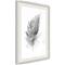 Artgeist Lost Feather (Grey) juliste – kuva 5