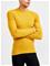 thumb38518755