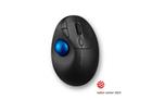 Kensington K72194WW Pro Fit Ergo TB450 Trackball, langaton pallohiiri