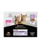 PRO PLAN Cat Junior Cat Turkey - 10x85 g – kuva 3