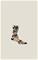 Craft Pro Hypervent Print Sock – kuva 2