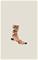 CRAFT - PRO Hypervent Print Sock - Sukat - | Beige | Koko: 46/48 – kuva 2