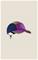 CRAFT - PRO Hypervent Cap - Lippikset ja hatut - | Purple | Koko: ONESIZE – kuva 3