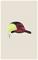 Craft Pro Hypervent Cap – kuva 2