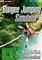 Bungee Jumping Simulator, PC-peli – kuva 7