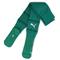 teamFINAL Socks Pepper Green-Puma White – kuva 2