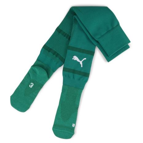 teamFINAL Socks Pepper Green-Puma White