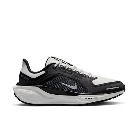 Nike Pegasus 41 GORE-TEX