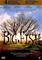 Big Fish, elokuva – kuva 5