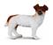Jack Russell Terrier S CollectA – kuva 2