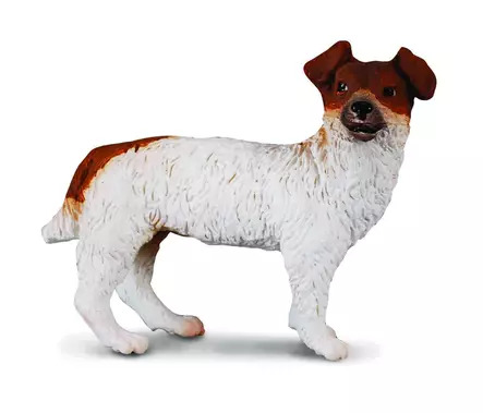 Jack Russell Terrier S CollectA