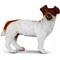 Jack Russell Terrier S CollectA – kuva 4