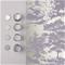 Meadow Bluebell - 105232 Tapetti – kuva 2