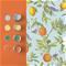 Amalfi Cielo - 105640 Tapetti – kuva 2