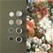 Bouquet - 107870 Tapetti – kuva 2