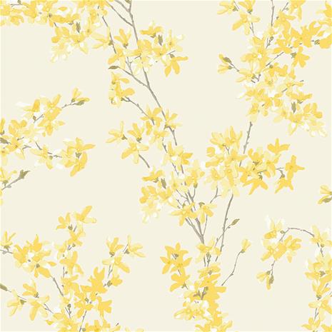 Forsythia - 113350 Tapetti