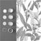 Botanical Shadow - 103801 Tapetti – kuva 2