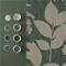 Aspen Pine - 111722 Tapetti – kuva 2