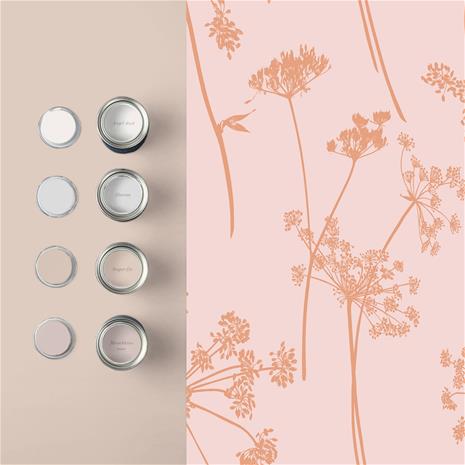 Anthriscus Blush - 105580 Tapetti – kuva 2/3