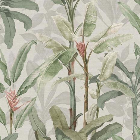 Borneo Powder - 118031 Tapetti