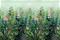 Primavera Green - 99423 Tapetti – kuva 2