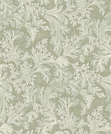 Forenza Sage - 91783 Tapetti