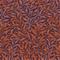 Willow Bough Plum - 124243 Tapetti – kuva 1
