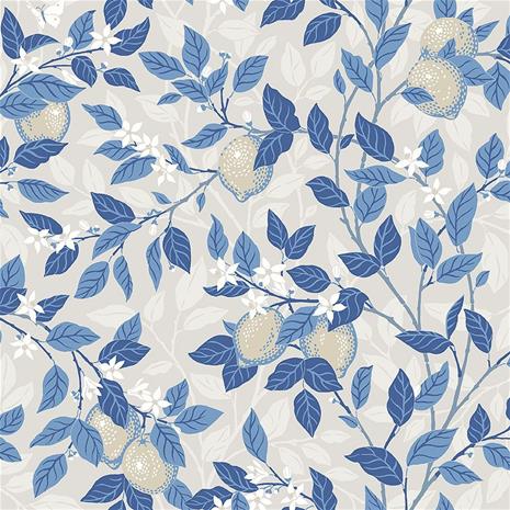 Citronträd - 6149 Tapetti