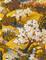 Yu Garden Amber - B00146 Tapetti – kuva 2