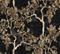 Willow Poem Onyx - B00111 Tapetti – kuva 2