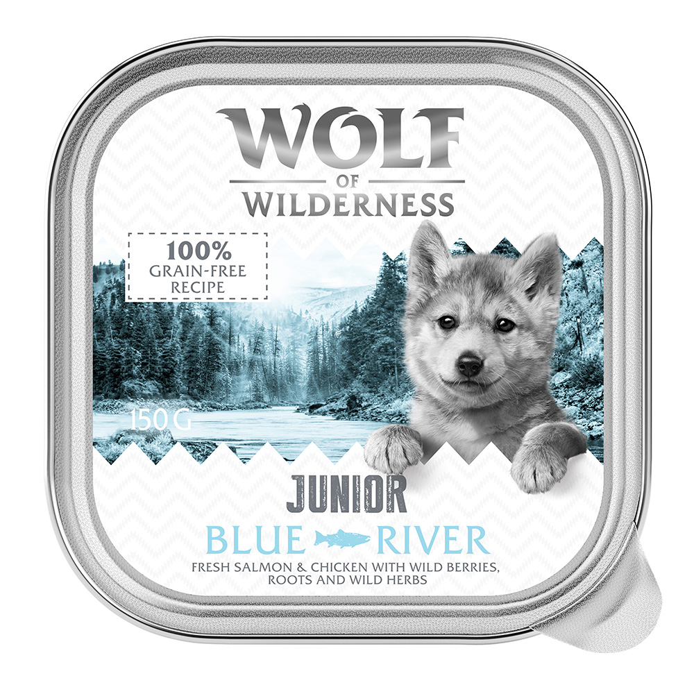 6x150g Junior Blue River kana ja lohi viljaton Wolf of Wilderness