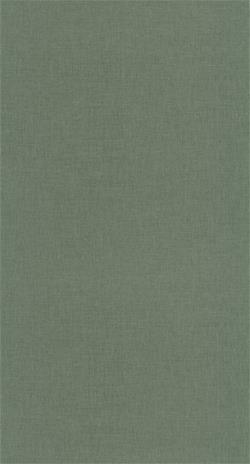 Uni Vert Bouteille - 68527852 Tapetti