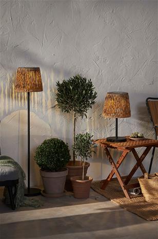 Aurinkovalaisin Cesta 48 cm
