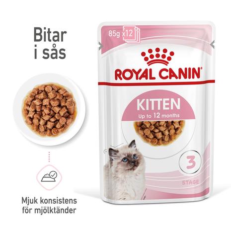 Royal Canin Kitten kastikkeessa, 85 g, 12-PACK