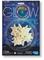 4M Glow star – kuva 1