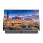 METZ 24MPE7002Z (24"), OLED-televisio