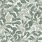 Lorentz Light Green - 1046701-02 Tapetti