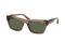 Superdry SDS 5011 109, Aurinkolasit – kuva 1