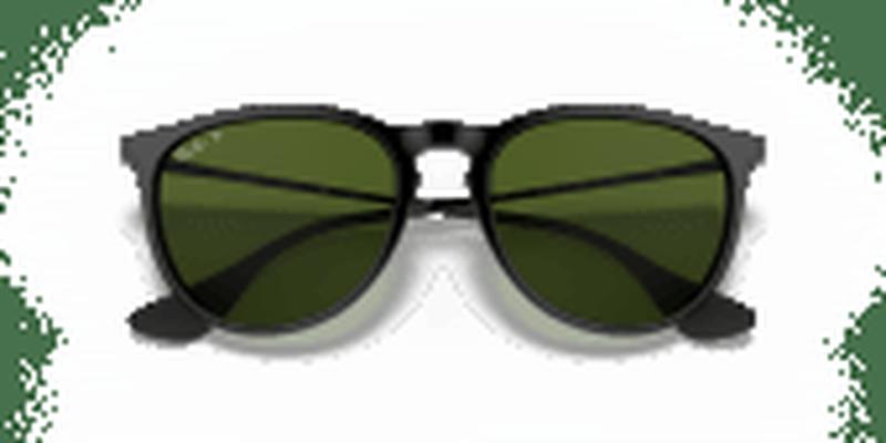 RayBan ERIKA Aurinkolasit black