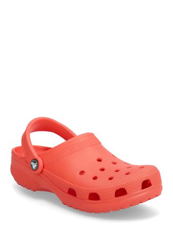Crocs Classic Shoes Mules & Clogs Green Crocs