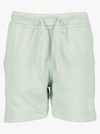 Didriksons Corin Powerstretch Shortsit, Pale Mint, 80