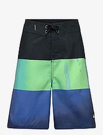 Quiksilver Everyday Panel Yth 17 Uimashortsit Multi/patterned Quiksilver, Lastenvaatteet