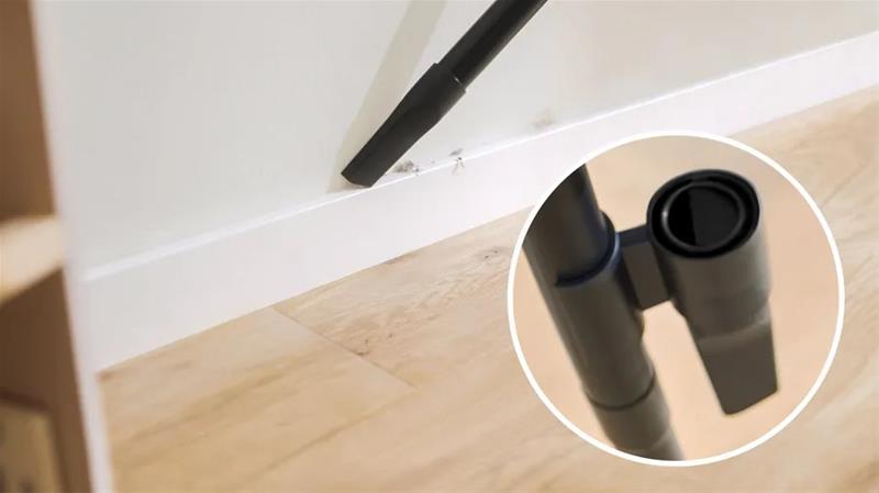 Bosch Serie 8 ProAnimal BGS7PET1, pölynimuri