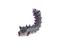 Schleich - Shadow Worm - (70830) – kuva 1