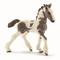 Schleich 13774 TINKER FOAL – kuva 1