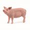 Schleich Sika – kuva 1